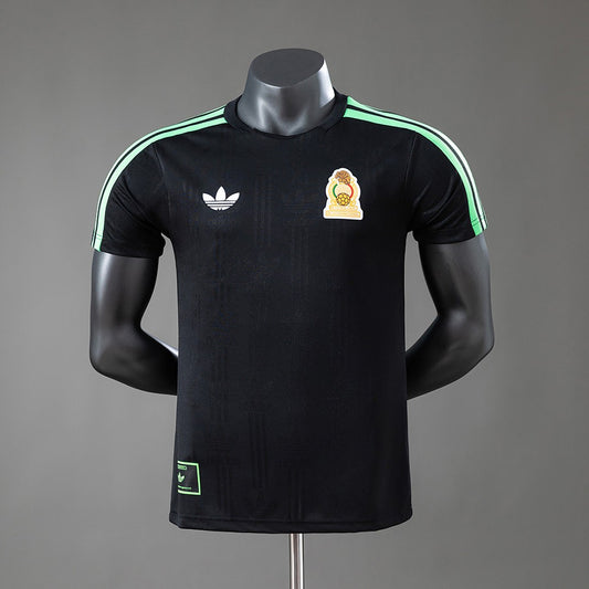 Mexico Home Training 2026